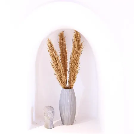 Apartment Whitelist New In