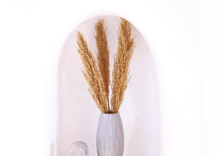 公寓 Whitelist New In